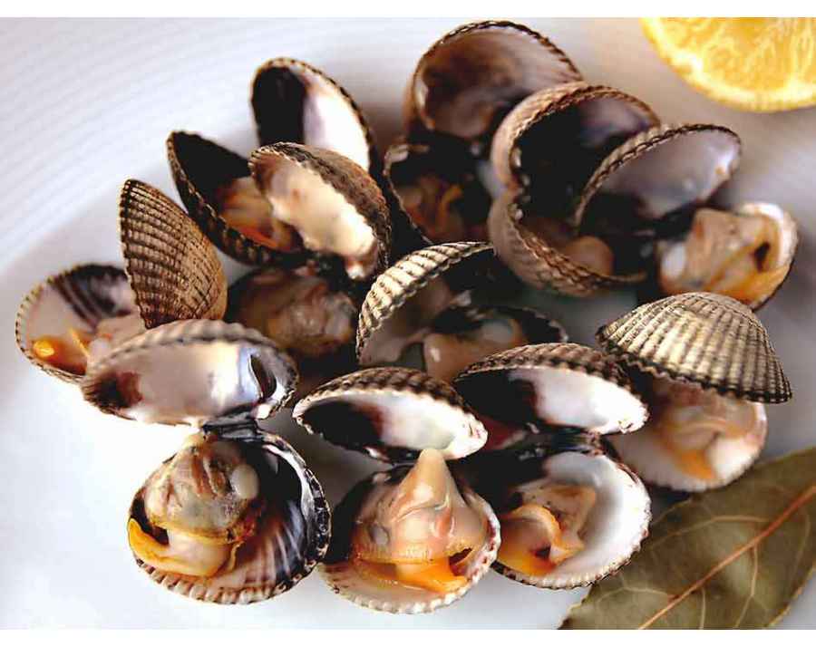 Coques de Galice. Acheter des Fruits de Mer à domicile