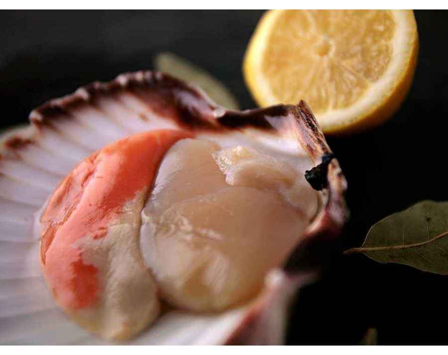 Prix Coquille Saint Jacques Boulogne Sur Mer