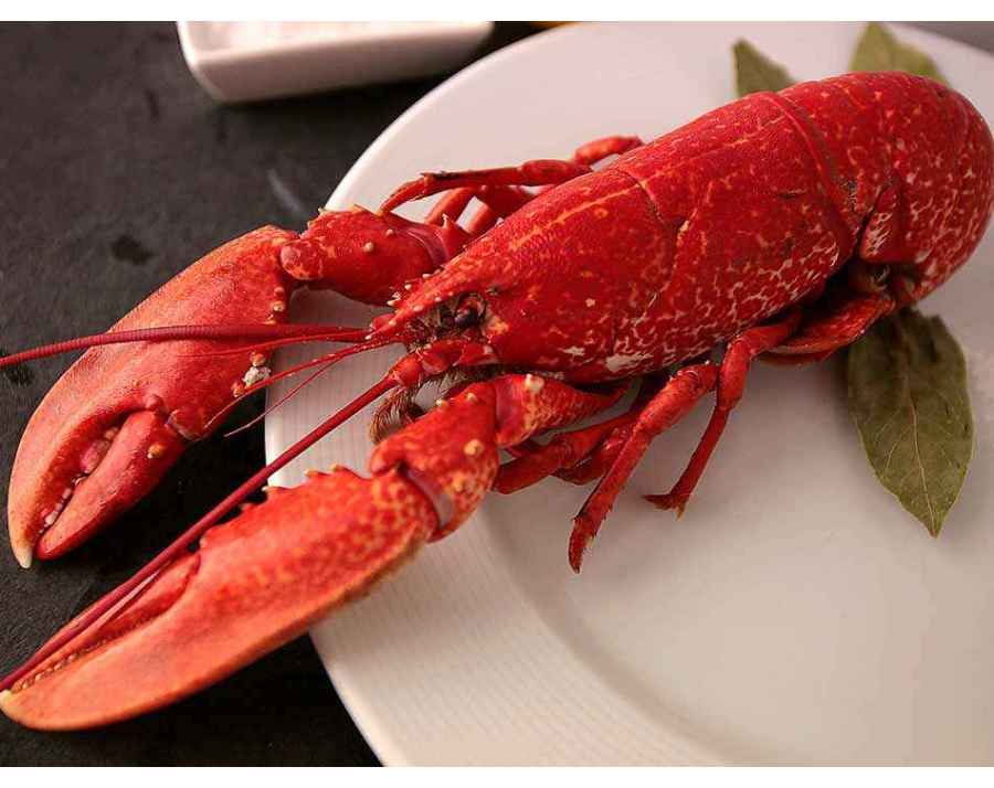 Hombre Bleu de Galice. Acheter des Fruits de Mer à domicile