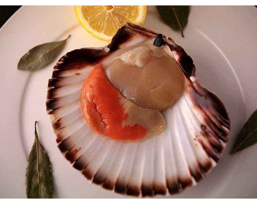 Coquilles Saint-Jacques. Acheter des Fruits de Mer à domicile
