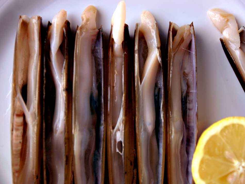 Couteaux de mer