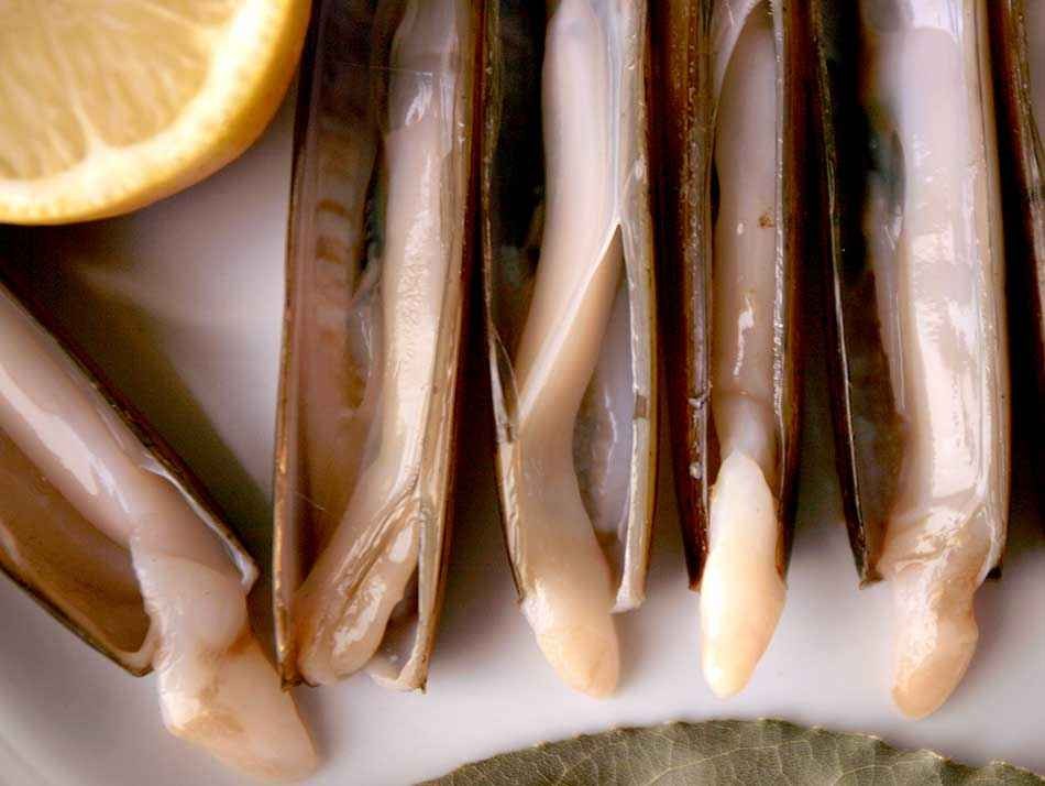 Couteaux de mer
