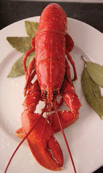 Acheter un plateau de fruits de mer en ligne