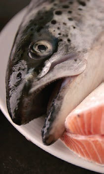Acheter du poisson frais en ligne