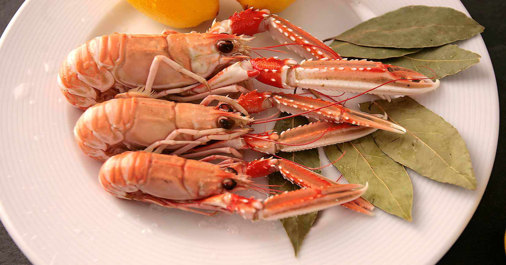 Langoustines de Galice