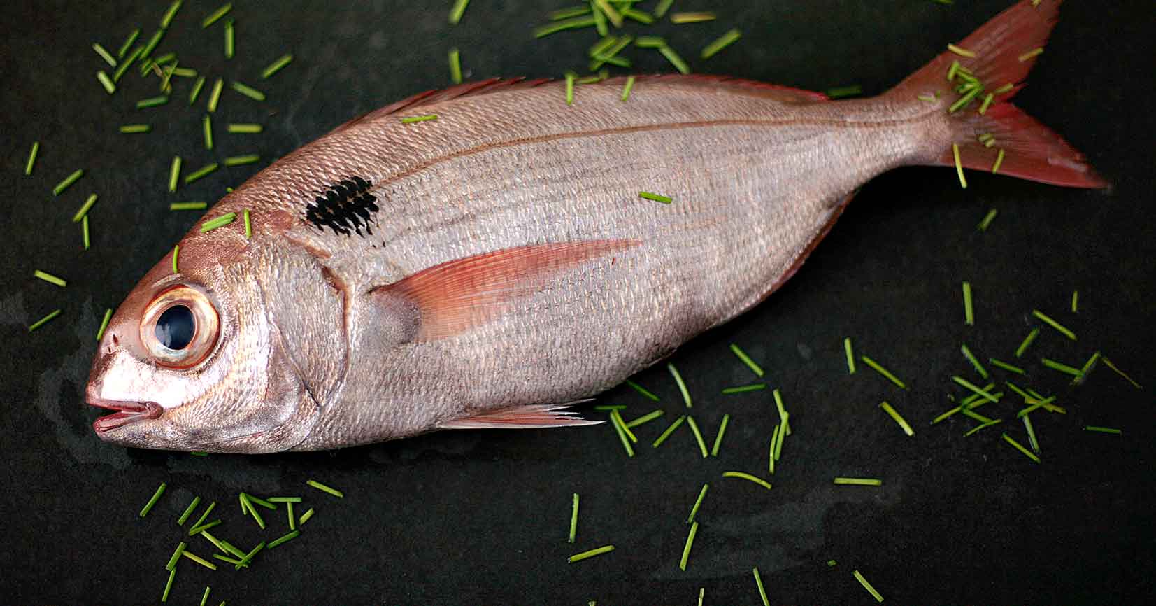 Rousseau de Galice