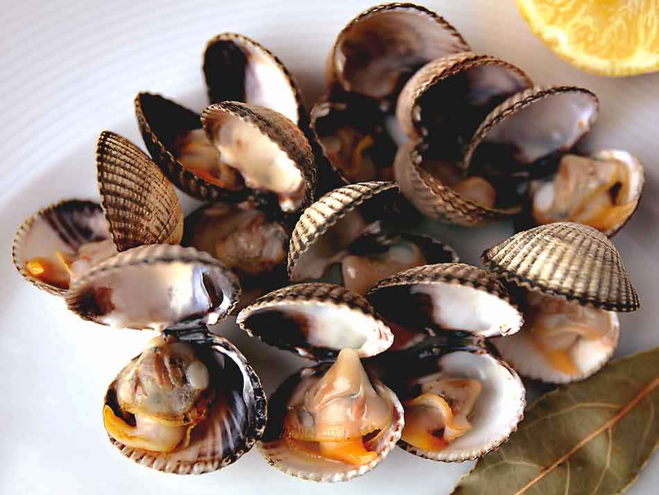 Coques d'Espagne