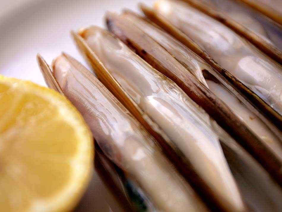 Couteaux de mer d'Espagne
